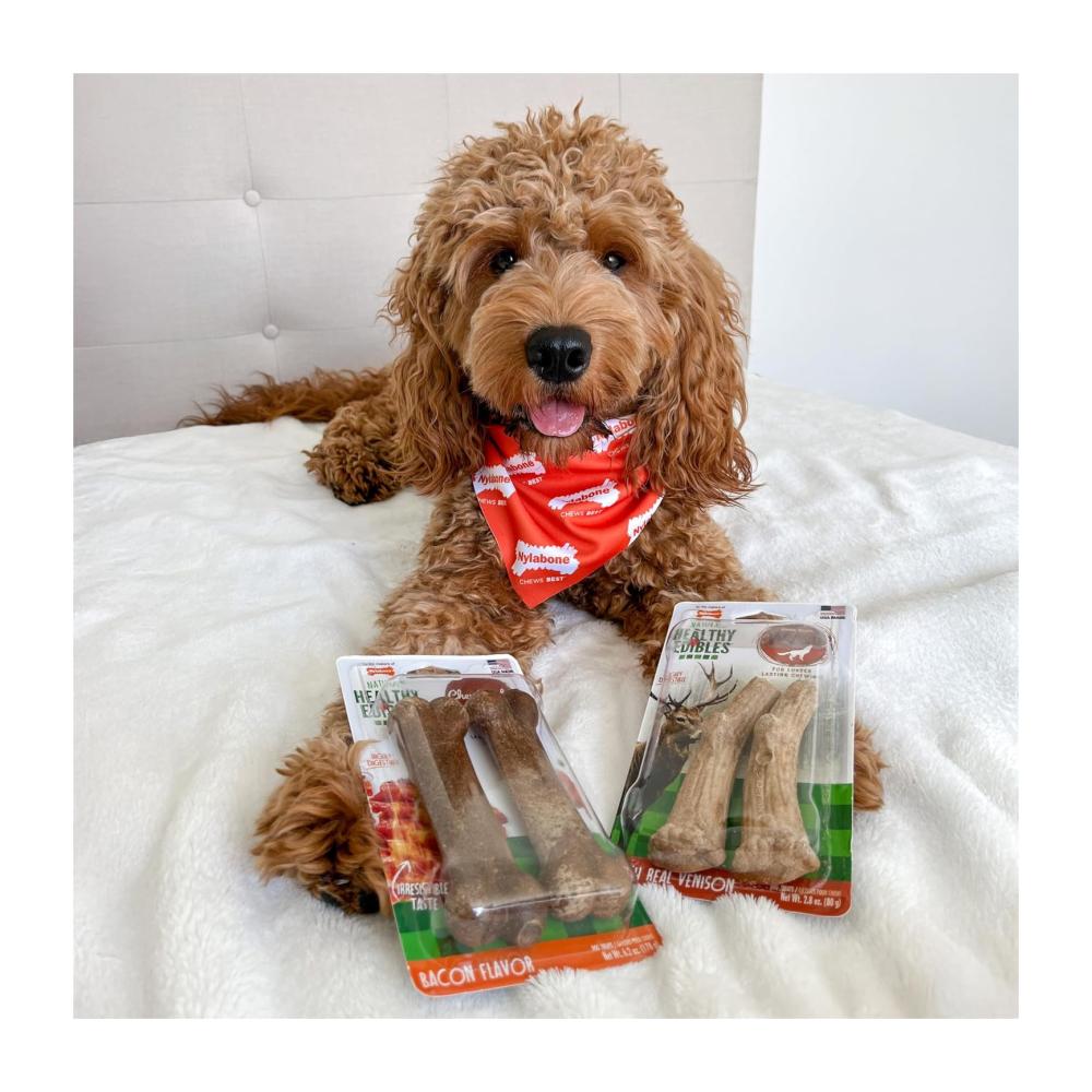 Nylabone Healthy Edibles Wild Longer Lasting Venison 80gr - Imagen 2