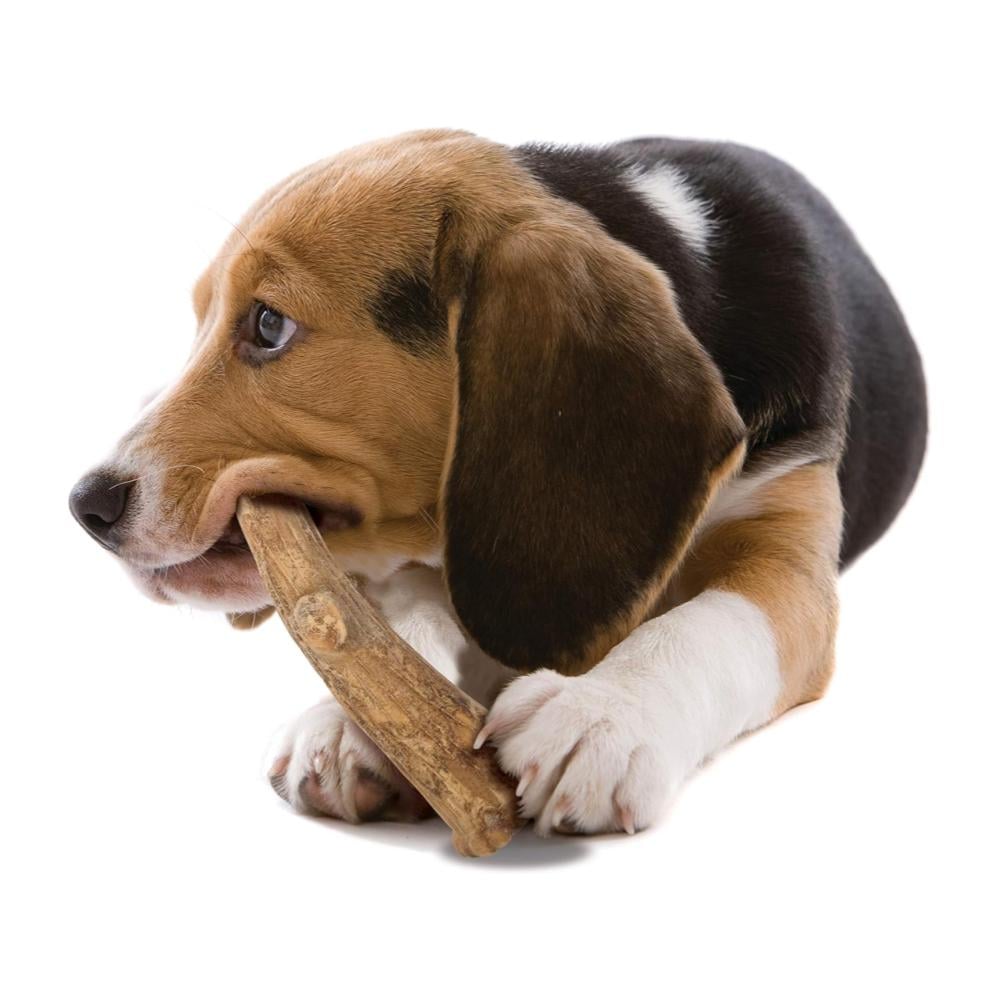 Nylabone Healthy Edibles Wild Longer Lasting Venison 80gr - Imagen 5