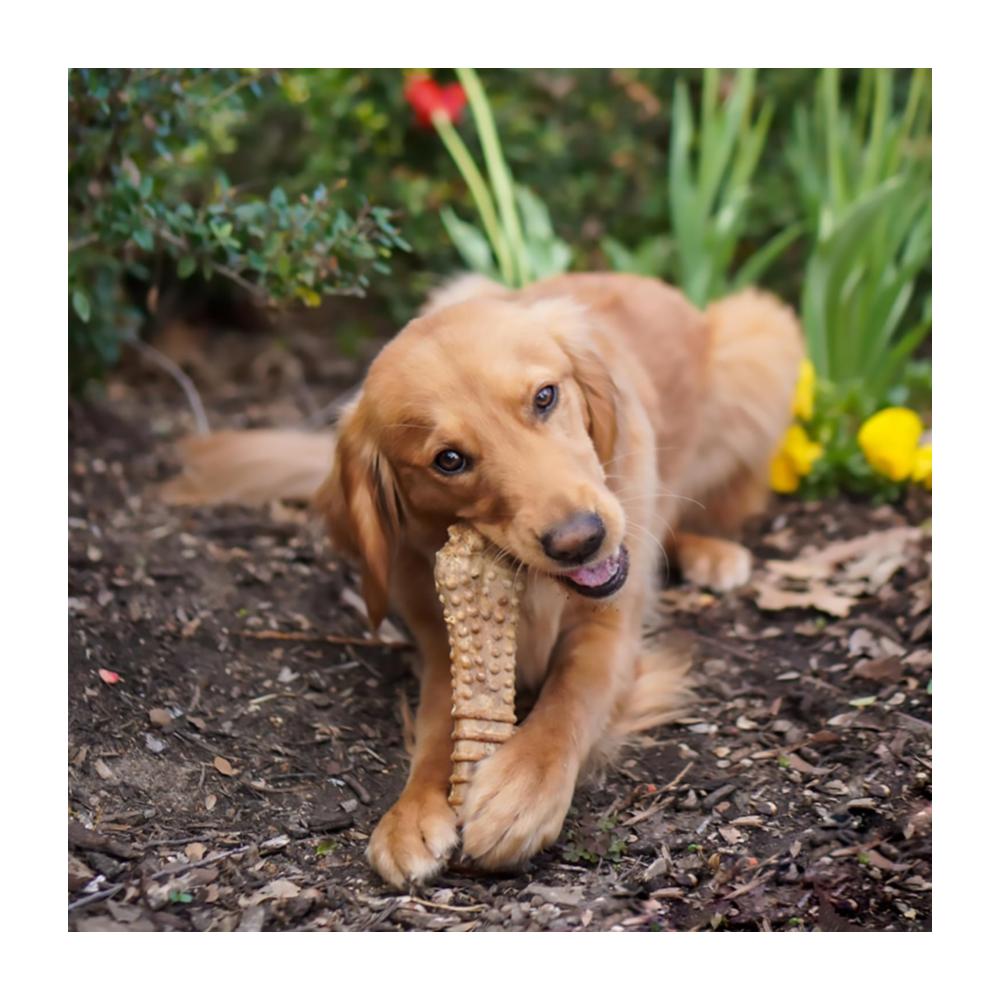 Nylabone Nutri Dent Filet Mignon 195gr - Juguete dental para Perros - Imagen 2