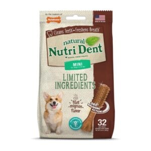 Nylabone Nutri Dent Filet Mignon Mini