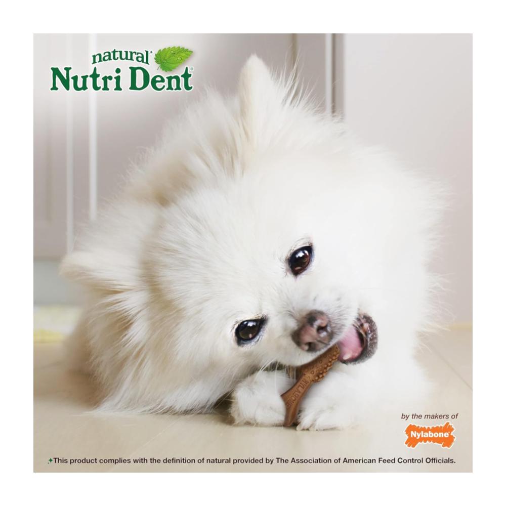 Nylabone Nutri Dent Filet Mignon Mini 160gr - Cuidado dental - Imagen 5