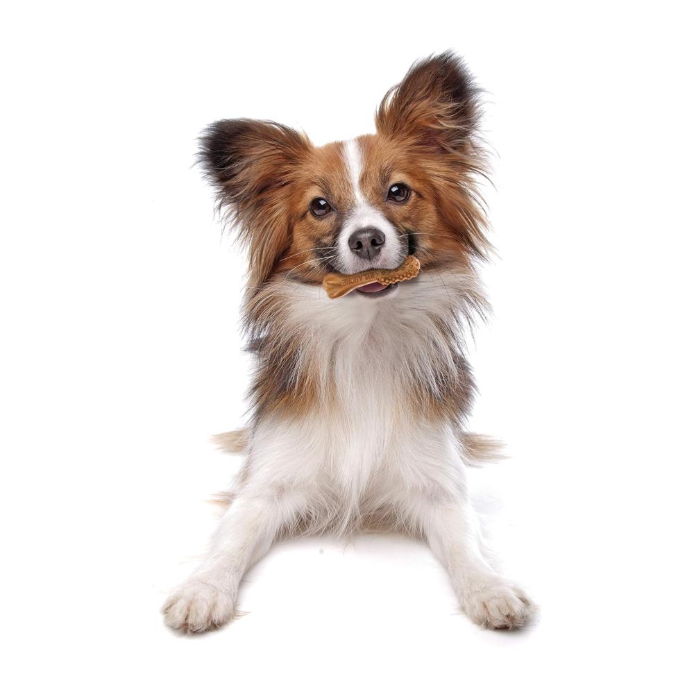 Nylabone Nutri Dent Filet Mignon Mini 160gr - Cuidado dental - Imagen 6