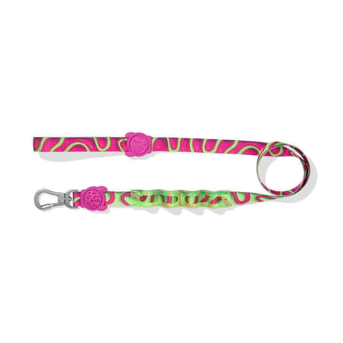Zeedog Correa RUFF para perros modelo H3D Jelly