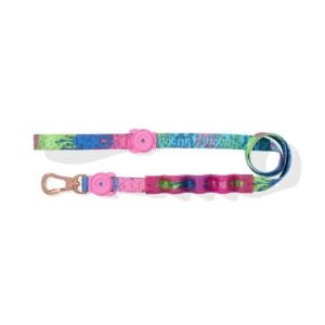 Zeedog Correa RUFF para perros modelo Lords Of Zee.Town Melted
