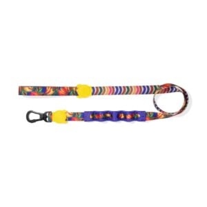 Zeedog X Farm Rio Correa RUFF para perros modelo Samba