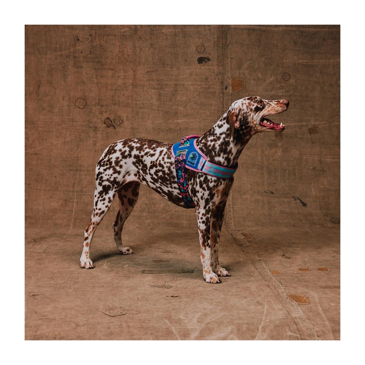 Zeedog X Reebok FlyHarness modelo Aerobic Talla 4 – Pechera para perros - Imagen 2