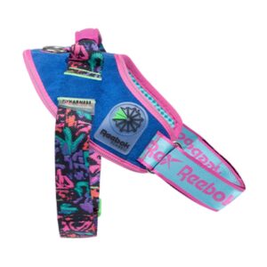 Zeedog FlyHarness modelo Aerobic Talla 1 – Pechera para perros