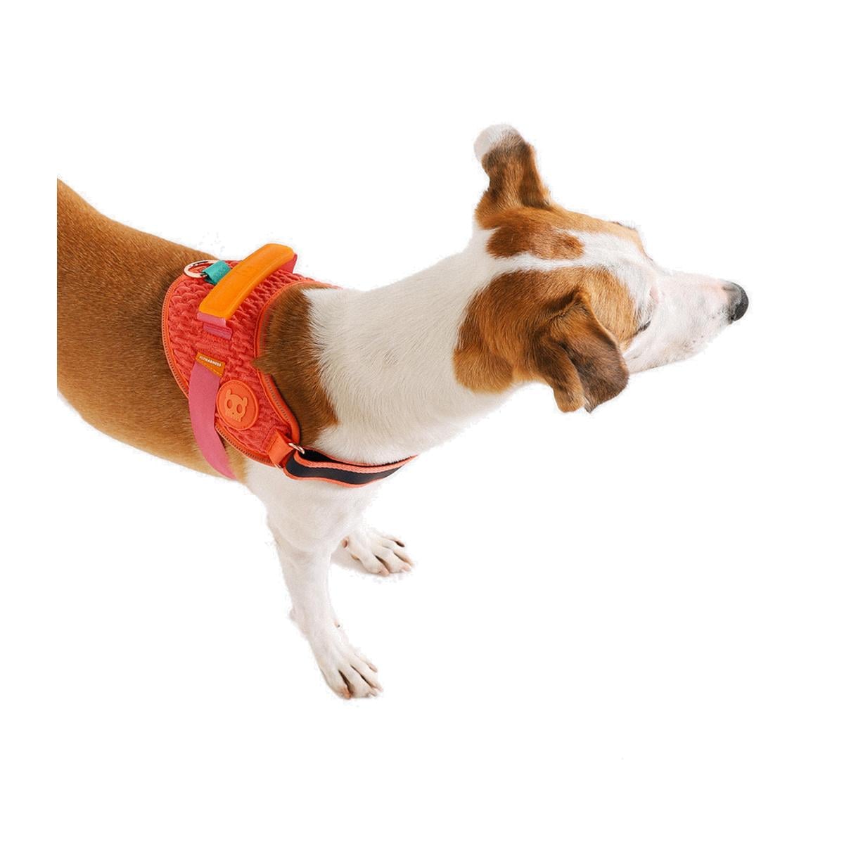 Zeedog FlyHarness modelo Gazelle – Pechera para perros - Imagen 2