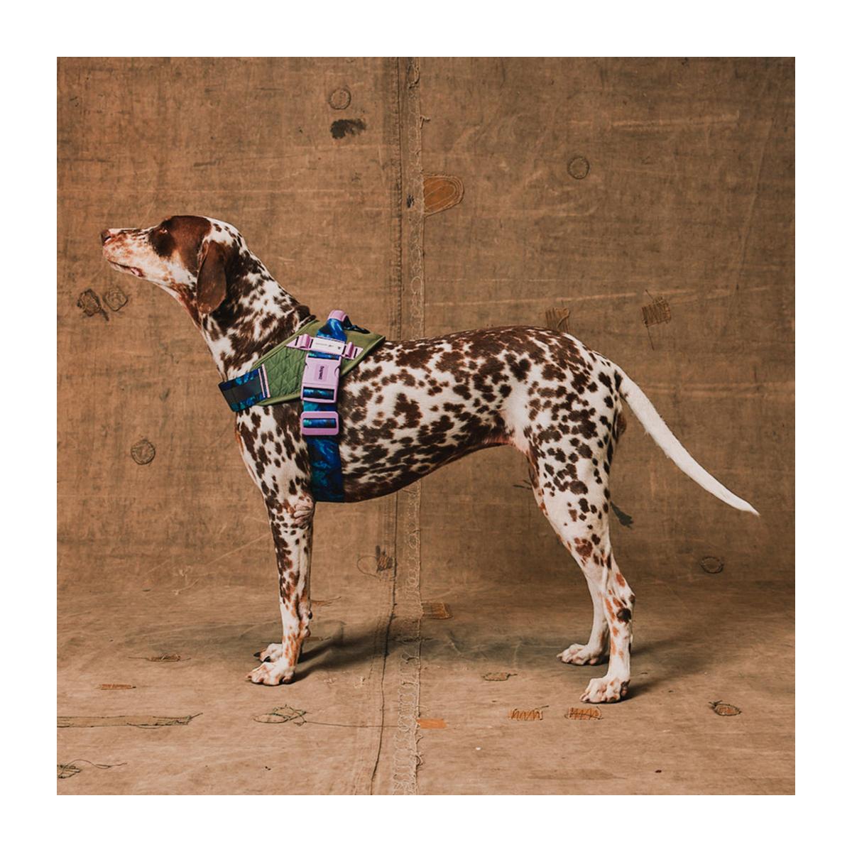 Zeedog X Reebok FlyHarness Trekk – Pechera para perros - Imagen 2