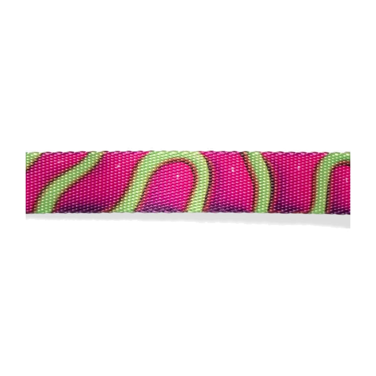 Zeedog collar para perros modelo H3D jelly - Imagen 3