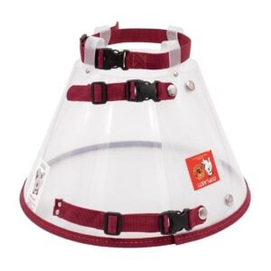Coplasti Collar Isabelino para Braquicéfalos