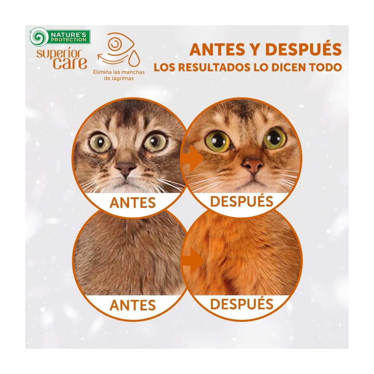Superior Care Red Gf Herring - Gato Adulto - Imagen 3