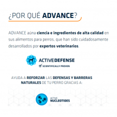 Advance alimento para perros