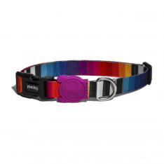 Zeedog collar perros prisma