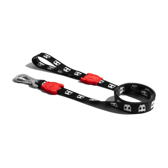 Zeedog correa para perros skull