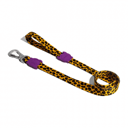 Zeedog correa para perros modelo Honey